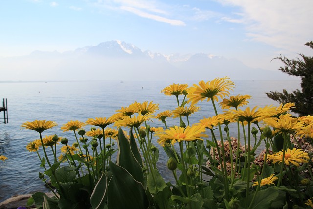 img_c41137_montreux.jpg