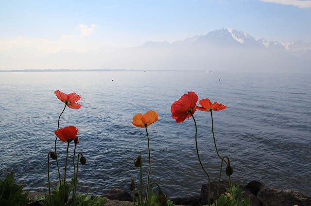 img_c41139_montreux.jpg