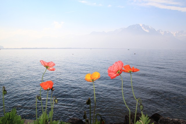 img_c41140_montreux.jpg